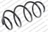 LESJ?FORS 4037250 Coil Spring